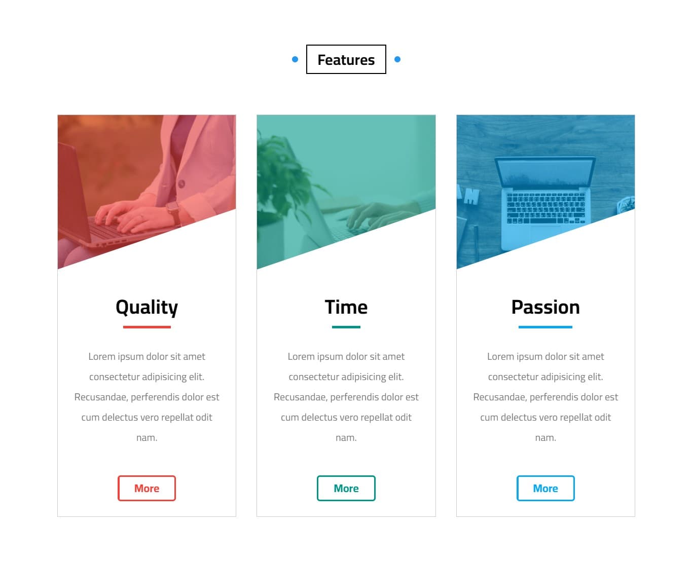 Mounir's World Template Image 2