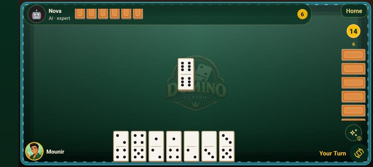 Domino Classic Image 3 Domino Classic Image 3